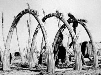 Arches